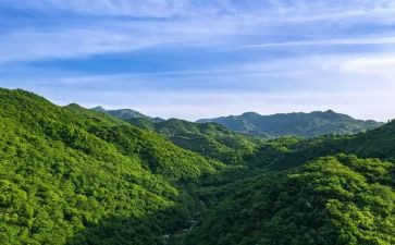 野山羊读后感推荐5篇