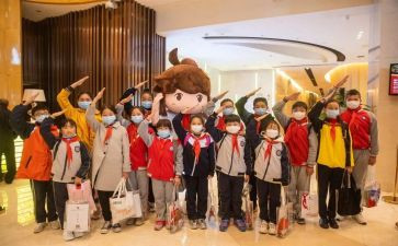 村小学少先队工作计划6篇