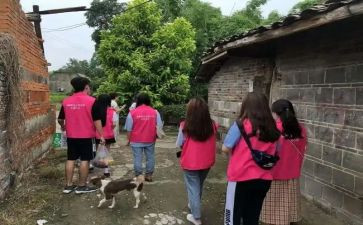 大学生入社会心得体会通用8篇