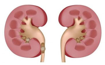 肾内科医生年终总结优质8篇