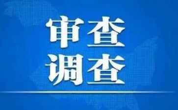 审查工作报告6篇
