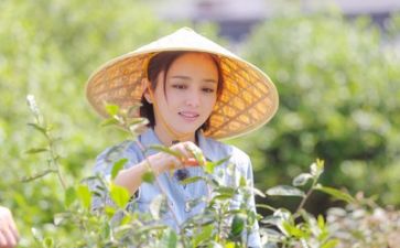 织生活课心得体会通用7篇