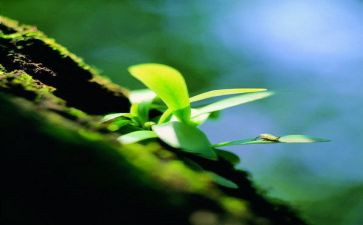 生命与教育的心得体会优秀8篇