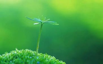 珍爱生命防溺水的发言稿7篇