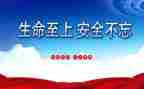 生命至上的心得体会7篇