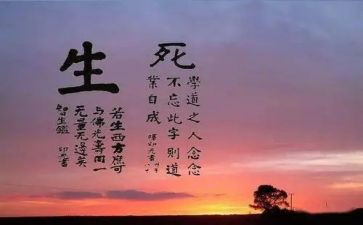 赫克里斯的生与死读后感5篇