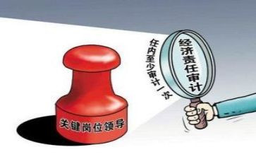 2024年审计工作报告参考5篇
