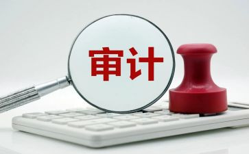 个人审计工作总结通用5篇