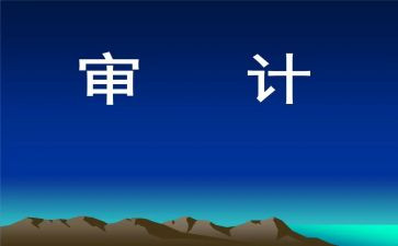 2024年审计站个人总结报告6篇