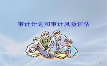上半年审计工作总结6篇