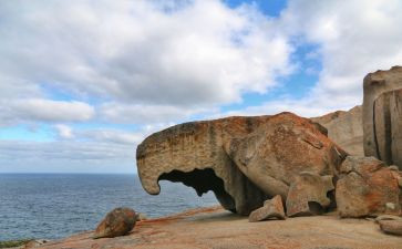 神奇的雨教案优质8篇