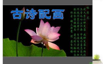 幼儿园诗歌教案通用5篇