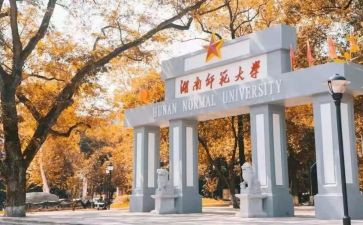 师范生实习总结5篇