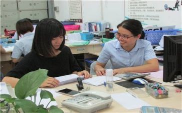 实习鉴定表个人总结优质6篇