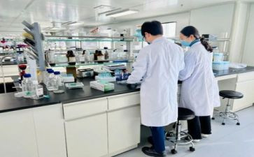 学校实验室工作总结6篇