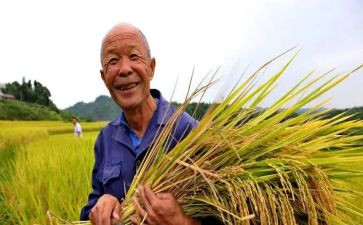 初中收获的作文7篇