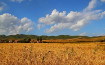 我收获了________作文400字推荐5篇