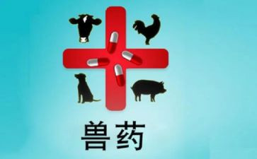 兽药店活动策划方案8篇