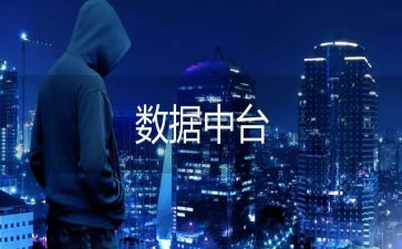 数据员的述职报告6篇