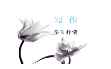 作文抒情600字初中作文推荐5篇