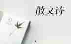 抒情母爱的作文5篇