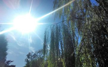 天气预报大班教案通用8篇