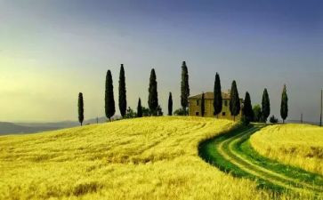 音乐《我们的田野》教案5篇