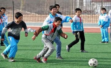 幼儿园小班体育活动方案5篇