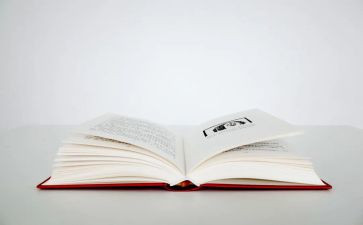 童话的王国作文300字5篇