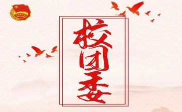 上学期团委工作计划8篇