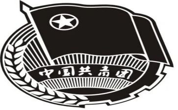 团组织委员工作计划5篇