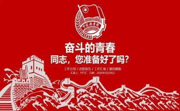 团组织委员工作总结精选7篇