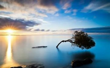 突破自我作文7篇