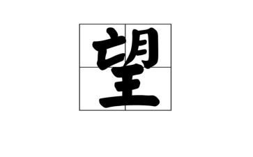 放飞希望的演讲稿6篇