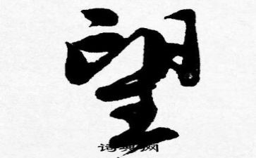 展望未来述职报告5篇