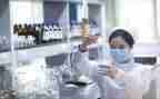 2024年学校卫生防疫工作计划7篇