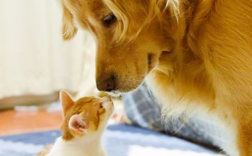 温情的中考作文5篇