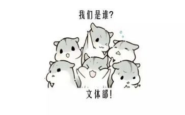社区的文体工作计划5篇