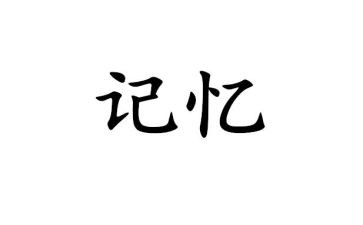 在我的记忆里作文7篇
