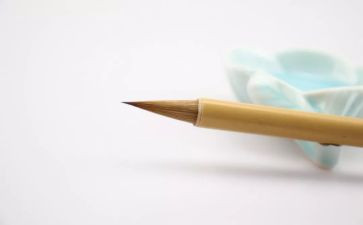 我想变成树作文8篇