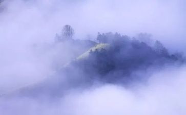 雾都孤儿电影观后感6篇