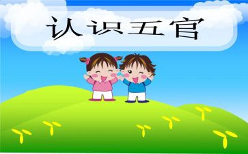 幼儿园五官教案5篇