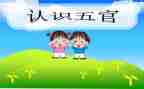 幼儿园五官教案5篇