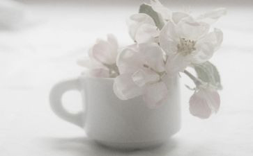 无声的爱800字作文6篇