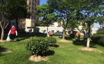 物业小区工作总结最新8篇