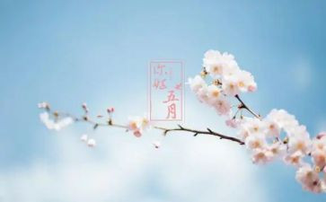 五月演讲稿8篇