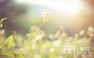 五月的演讲稿优秀5篇