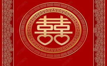 喜欢猫的作文500字优秀7篇