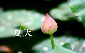 夏洛的网读书心得体会参考8篇