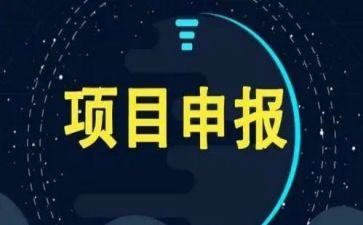项目长年度述职报告6篇